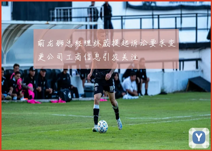 前龙狮总经理林葳提起诉讼要求变更公司工商信息引发关注