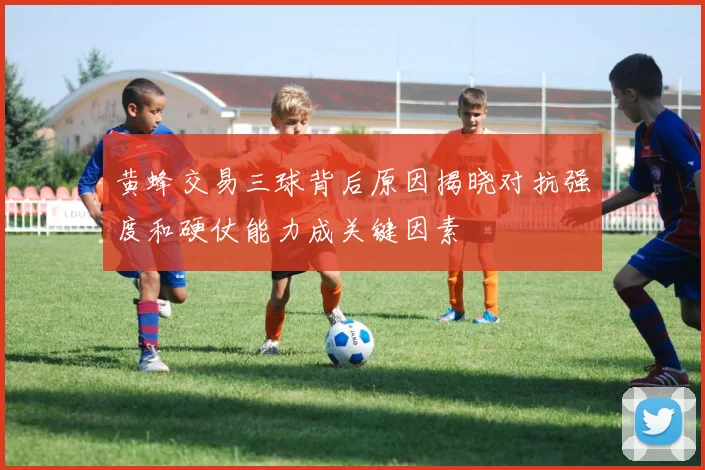 黄蜂交易三球背后原因揭晓对抗强度和硬仗能力成关键因素